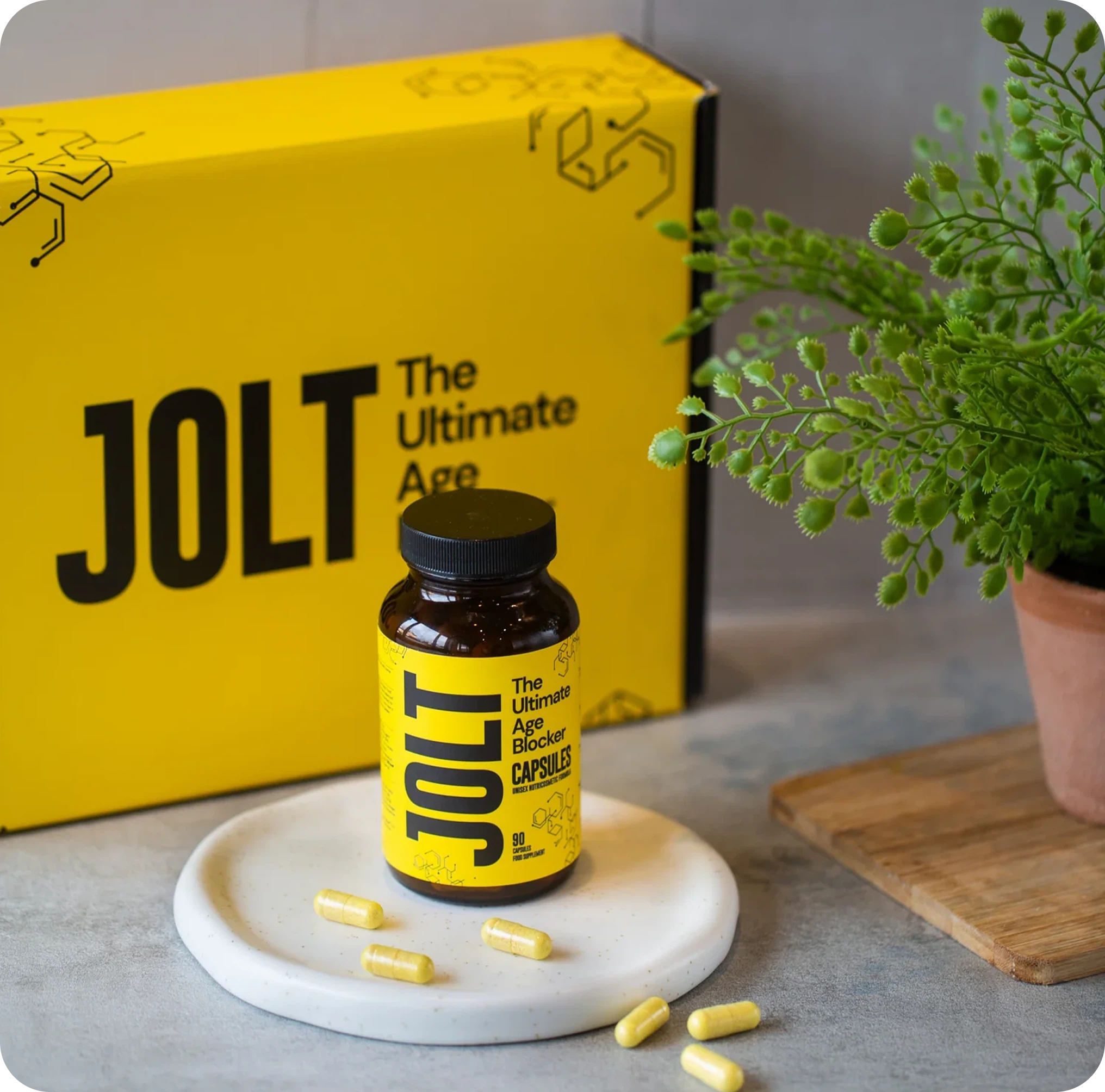 Collabs – JOLT My World